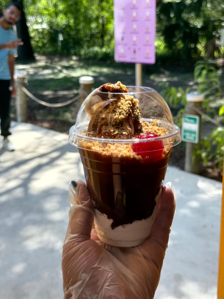 sundae with hot fudge twistee treat